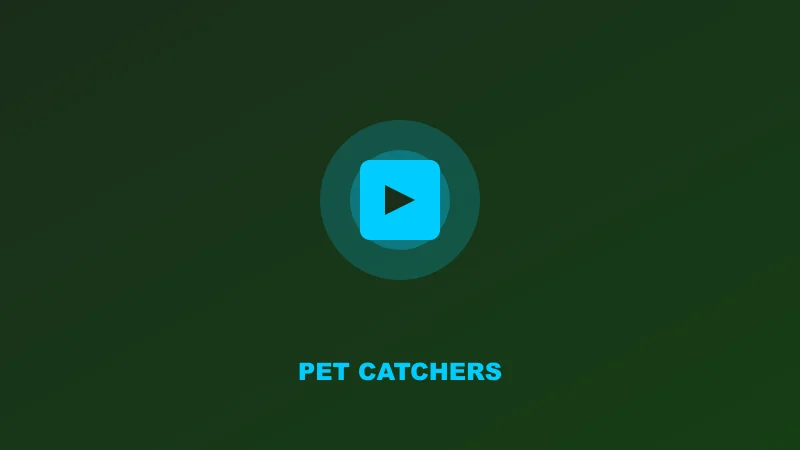 Pet Catchers Codes